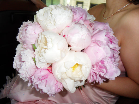 Peonie Corsage