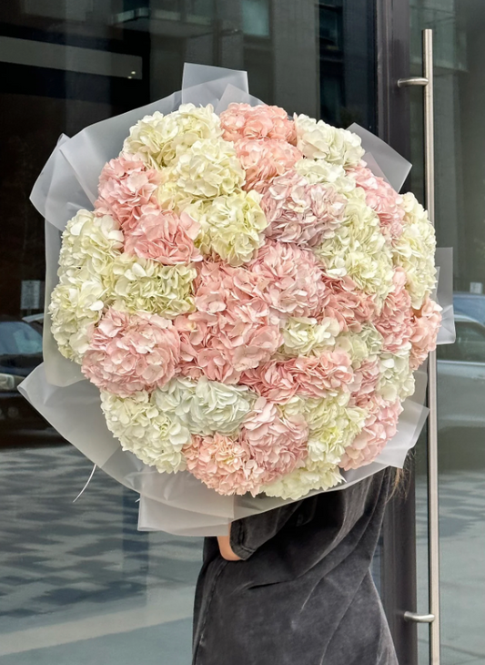 Giant Hydrangea Pink