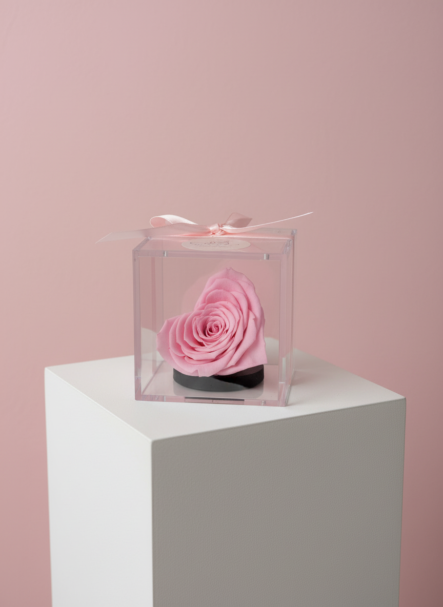Eternal Pink Rose