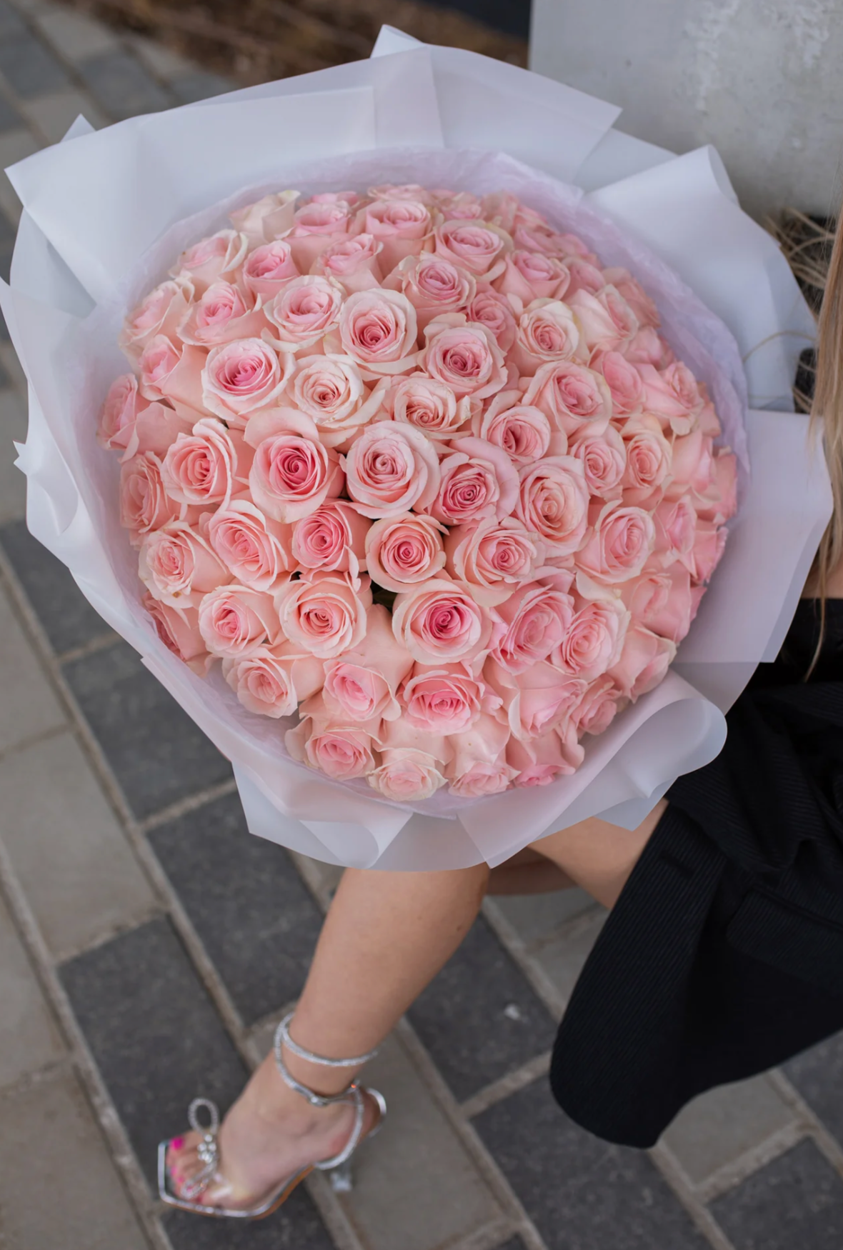 LIGHT PINK ROSES